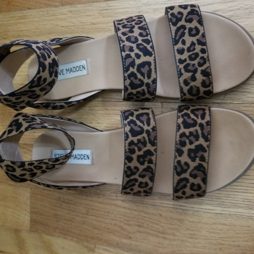 Steve Madden